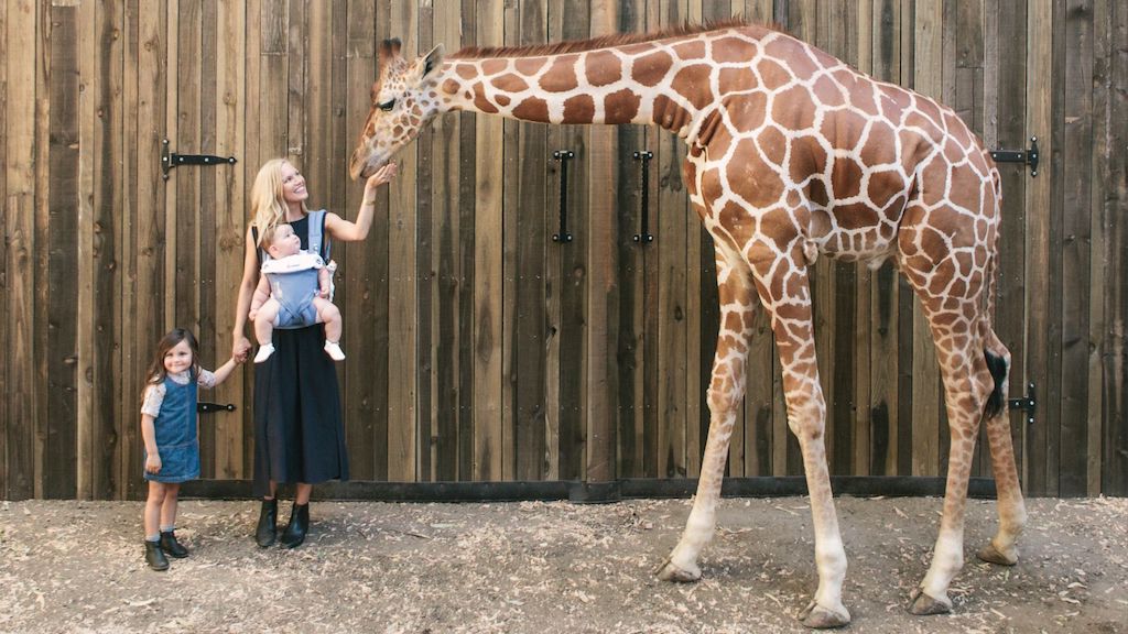 Un exemple de jouet bénéfique pour bébé : Sophie la girafe