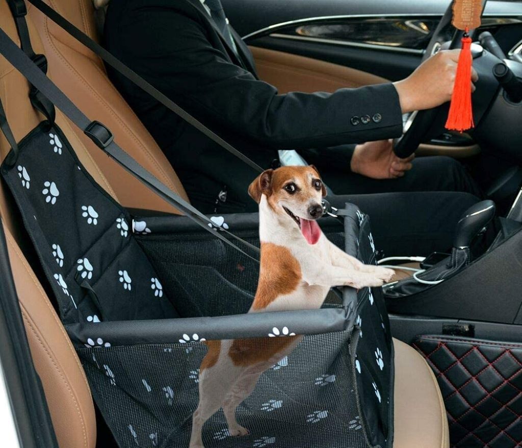 siège auto pour chien