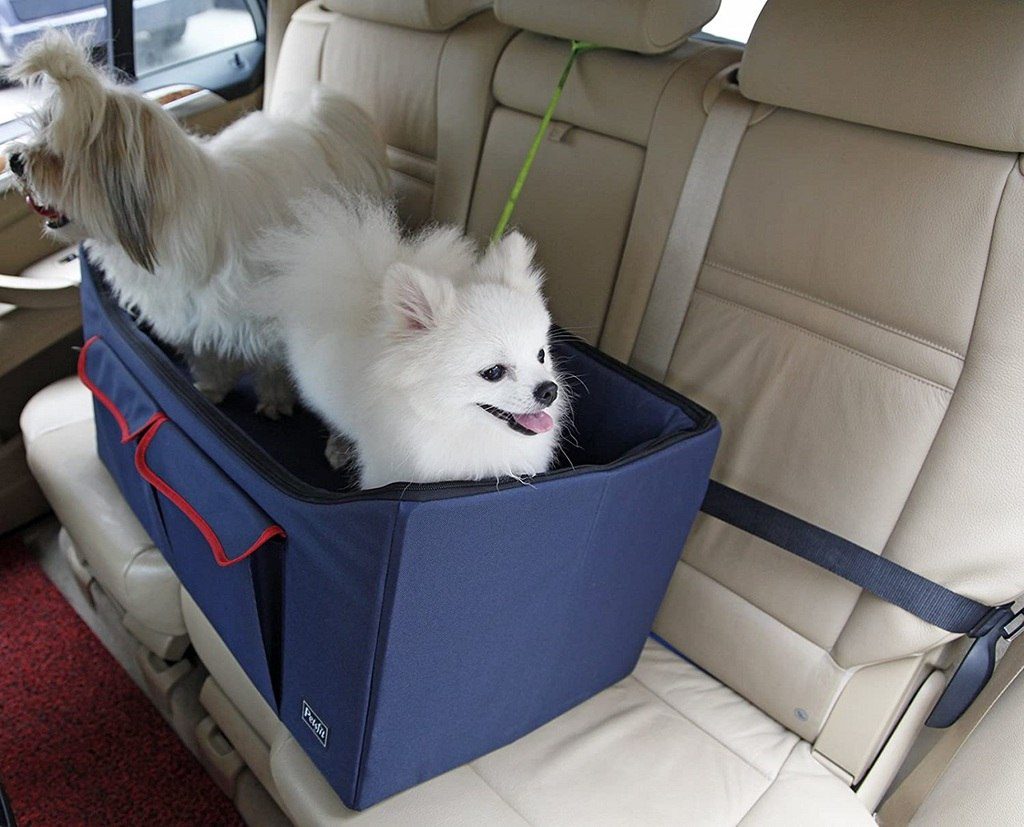 siège auto pour chien